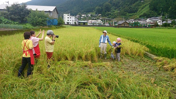 satuei
