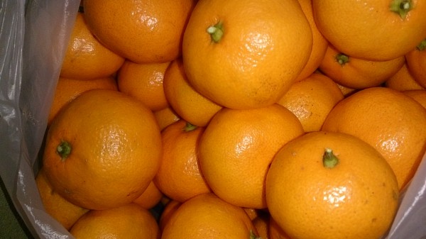 mikann