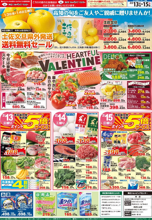 土佐文旦送料無料セール