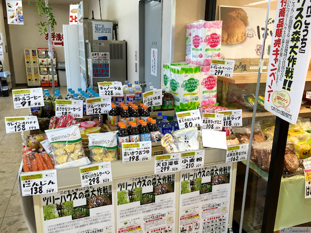 こども大学
