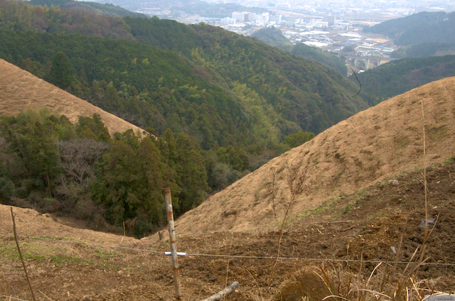 斉藤牧場
