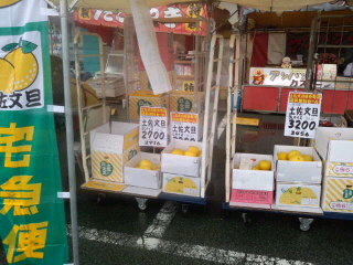 HI3H0505