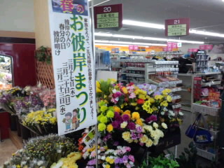 HI3H0503