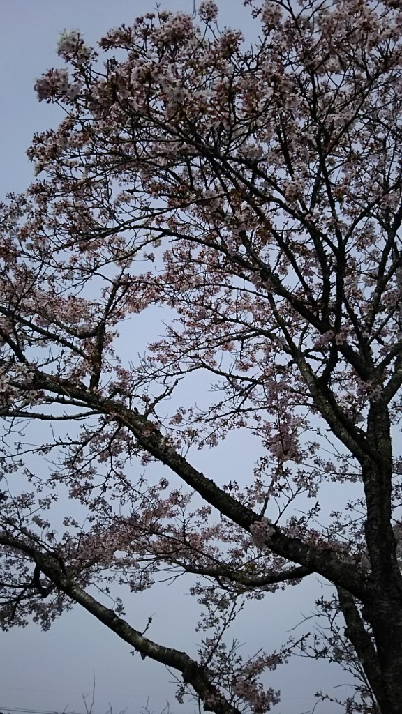 20160408091345