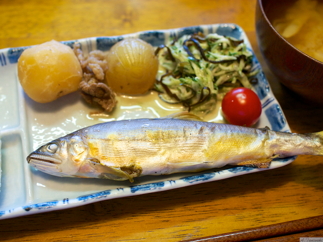 鮎釣り