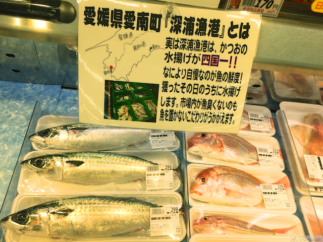 深浦漁港