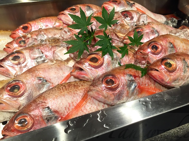 のどぐろ専門店