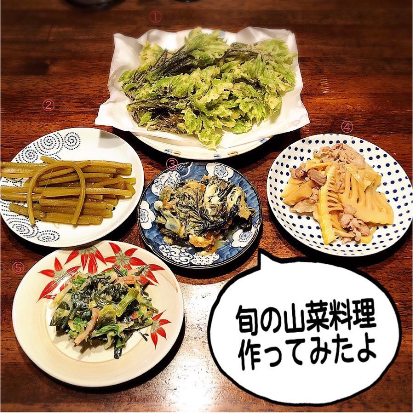 <span class="title">山菜料理のご紹介</span>